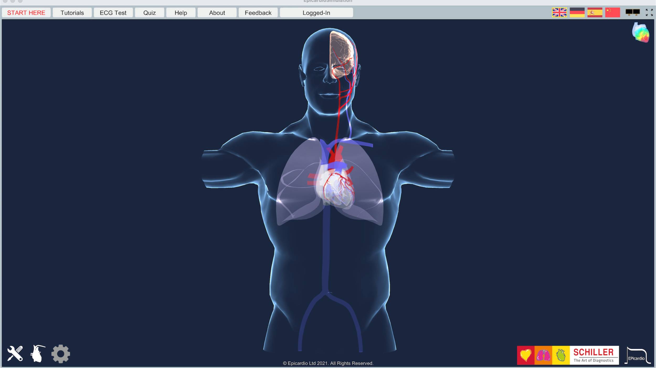 Epicardio ECG Simulation, heart simulator  | © Epicardio